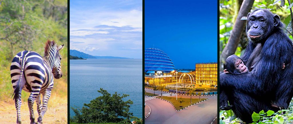 Affordable Tours and Travel Company in Rwanda| Hermosa Life Tours and Travel