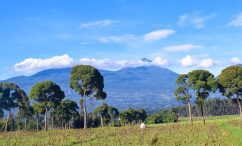 Rwanda Tours and Safaris Packages, Local Tour Company in Rwanda