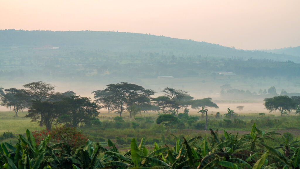 1000 hills Rwanda