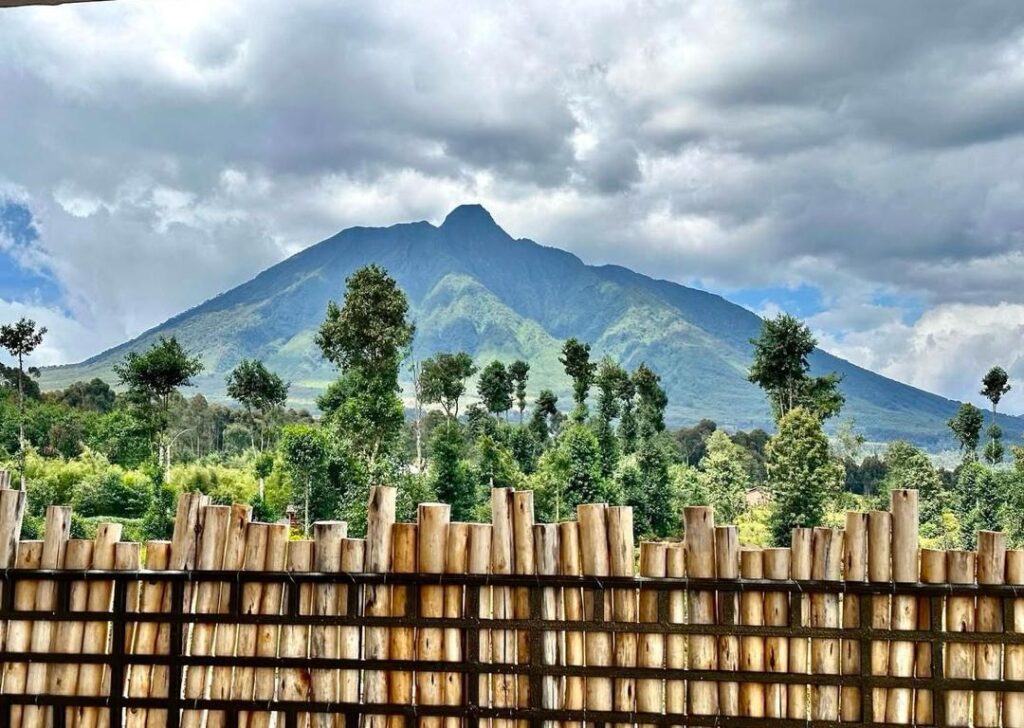 Luxury Tours in Rwanda| Hermosa Life Tours and Travel