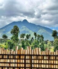Luxury Tours in Rwanda| Hermosa Life Tours and Travel