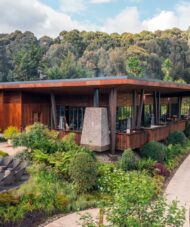 Luxury Mountain Tours in Rwanda| Hermosa Life Tours and Travel