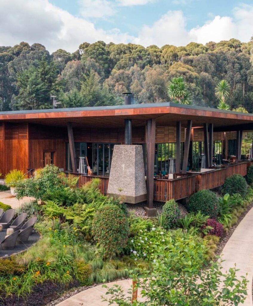 Luxury Mountain Tours in Rwanda| Hermosa Life Tours and Travel