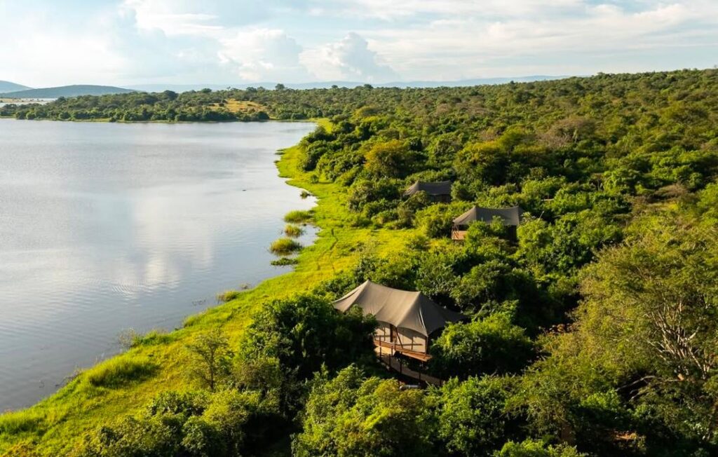 Mountain Tours in Rwanda| Hermosa Life Tours and Travel