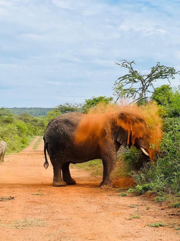 rwanda vacation tour packages