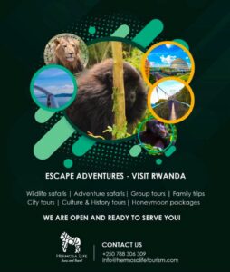 book a trip to rwanda