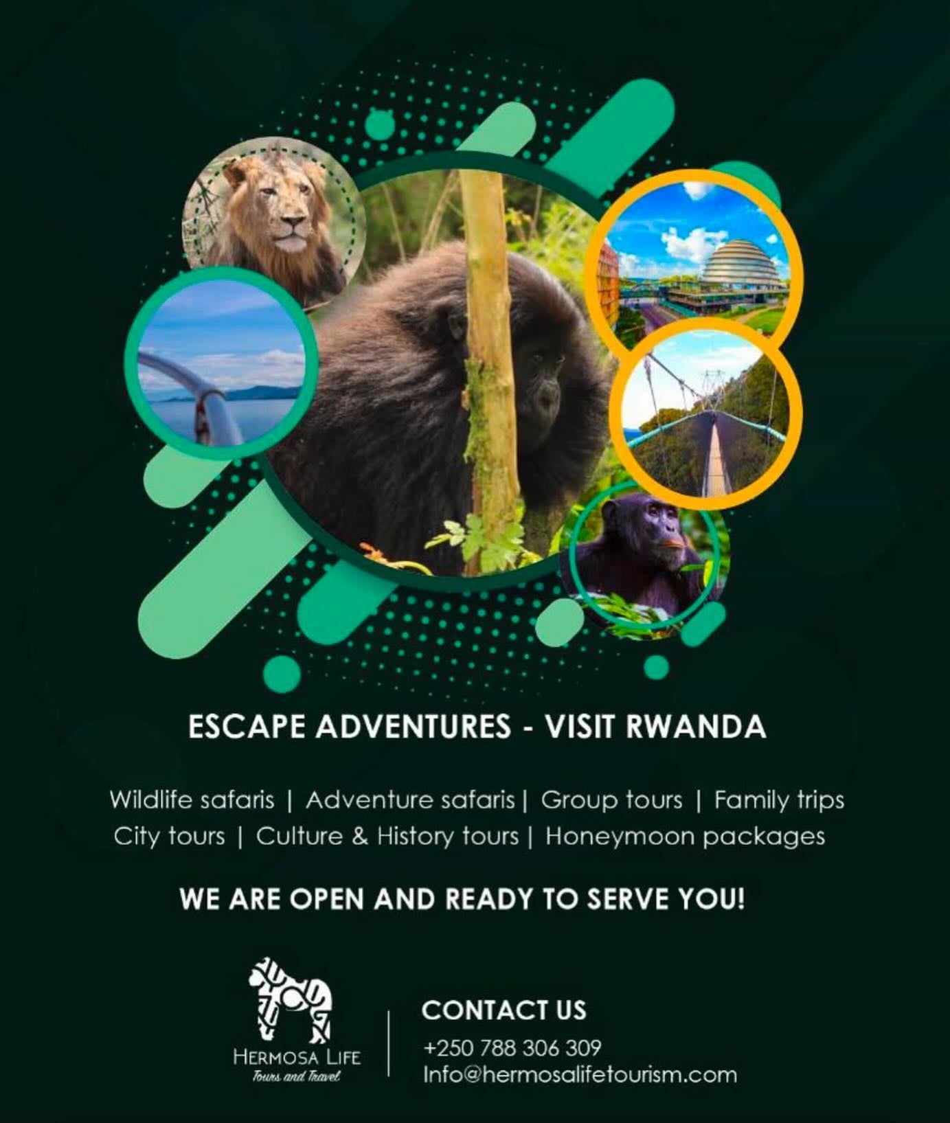 book a trip to rwanda