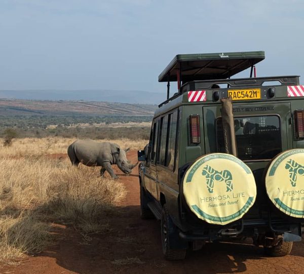 leading tour operator in Rwanda