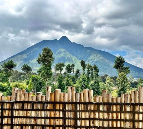 Luxury Tours in Rwanda| Hermosa Life Tours and Travel