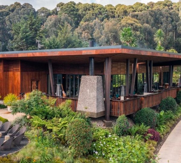 Luxury Mountain Tours in Rwanda| Hermosa Life Tours and Travel