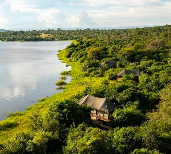 Mountain Tours in Rwanda| Hermosa Life Tours and Travel